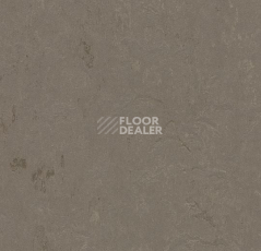 Линолеум Forbo Marmoleum Decibel on Order 370535 meteorite фото 1 | FLOORDEALER